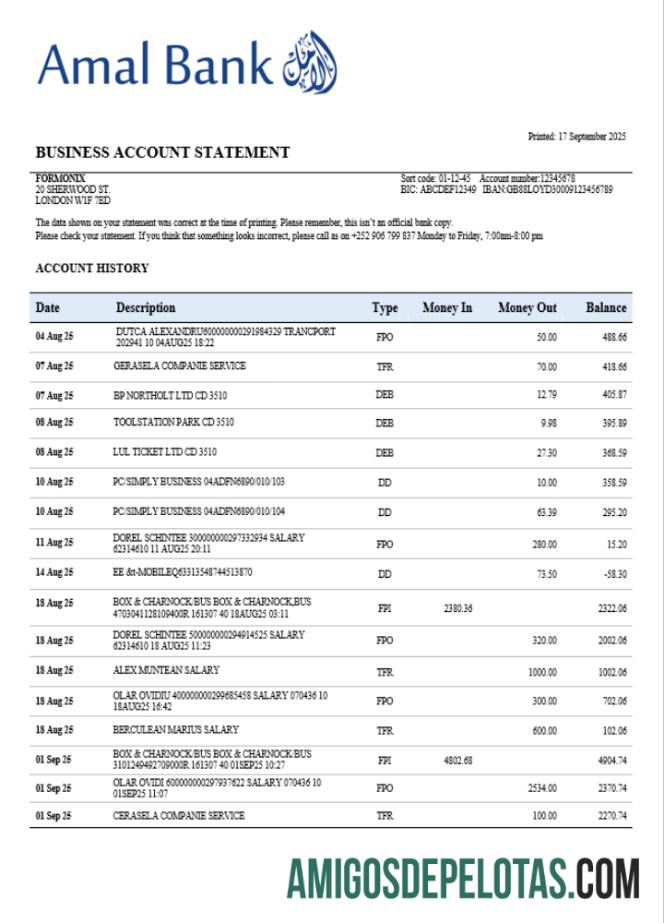 Imprimível Somália Amal Organization Statement Word And PDF modelo